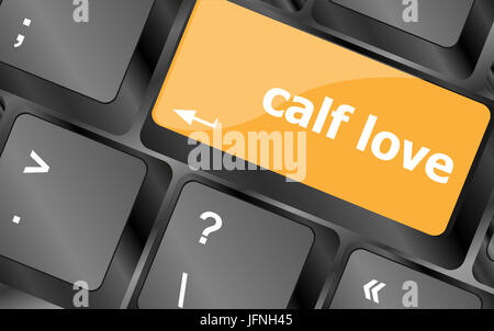 Kalb Liebe Worte zeigen Romantik und Liebe auf Tasten der Tastatur Stockfoto