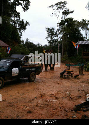 2010EB8584 8EC9B94 ED839CEAB5AD ECA09C16EAB8B0 EC868CEBB0A9EAB084EBB680ED9B84EBB3B4EC839D EC9CA4EC849DEBAFBC, EAB980EC9881ECA784, ECB59CEAB491EBAAA8 E 0172 Stockfoto