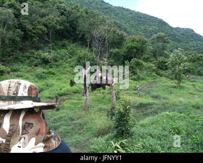 2010EB8584 8EC9B94 ED839CEAB5AD ECA09C16EAB8B0 EC868CEBB0A9EAB084EBB680ED9B84EBB3B4EC839D EC9CA4EC849DEBAFBC, EAB980EC9881ECA784, ECB59CEAB491EBAAA8 E 0184 Stockfoto