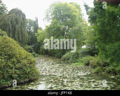 2010-10-19 gut Böckel Rödinghausen 050 Stockfoto