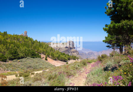 Zeigen Sie Gran Canaria, Juni, Wanderweg in den Bergen Towrads Roque Nublo an Stockfoto