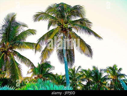 Palms Stockfoto