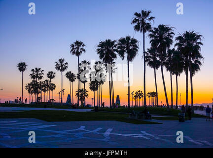 Venice Beach nach Sonnenuntergang - Silhouetten von Palmen Stockfoto