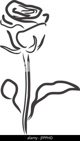 Vektor-Illustration einer rose Silhouette. Umriss Blume Hintergrund. Stock Vektor