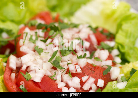 Salat mit Tomaten und Zwiebel closeup Stockfoto