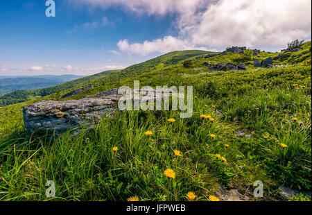 Löwenzahn zwischen den Felsen in Karpaten Alpen. Schweren Wolken am blauen Himmel über die Berggipfel in der Ferne.  Lebendige Sommerlandschaft bei Sonnenuntergang. Stockfoto