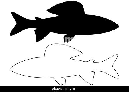 Äsche Silhouette Vektor, (Thymallus Thymallus), Stock Vektor