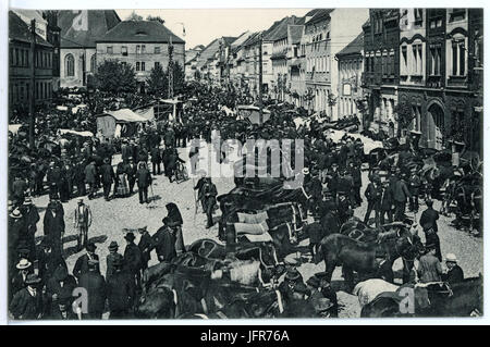 15848-Liebenwerda-1913-Pferdemarkt-Brück & Sohn Kunstverlag Stockfoto