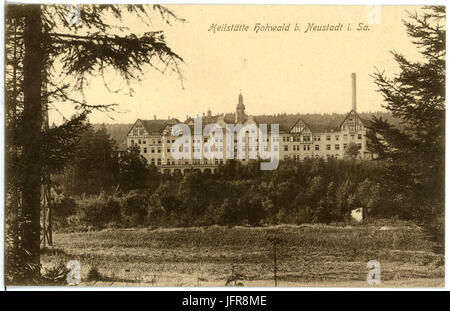 16870-Neustadt-1913-Heilstätte Hohwald-Brück & Sohn Kunstverlag Stockfoto