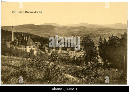 16873-Neustadt-1913-Heilstätte Hohwald-Brück & Sohn Kunstverlag Stockfoto