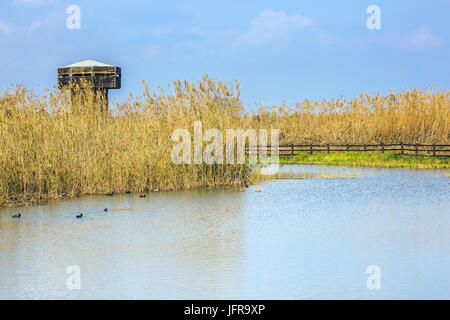 Holz-, runden Turm für die Vogelbeobachtung Stockfoto