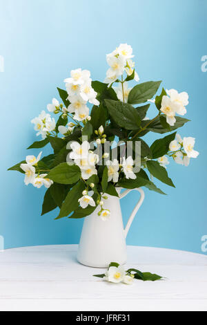 Frische jasmin Blumen in einer Vase Stockfoto