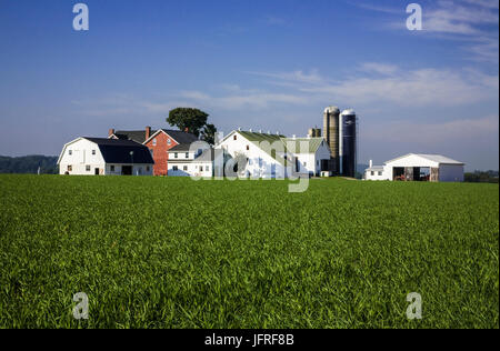 White Amish Farmland House with Crops in Field, Lancaster County, ländliche Pennsylvania, USA White Barns Farming, Amish Scheune Silohaus landschaftlich schön in Amerika Stockfoto