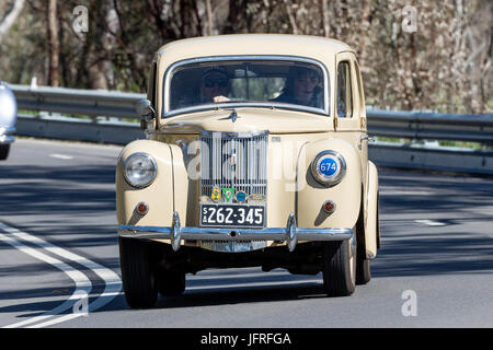 Jahrgang 1949 Ford Prefect Limousine fahren auf der Landstraße in der Nähe der Stadt Birdwood, South Australia. Stockfoto