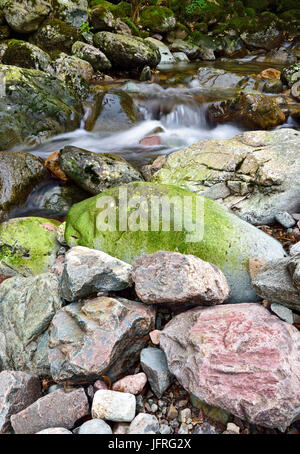 Ein Blick auf eine bunte Teil Dungeon Ghyll in der Landschaft Cumbria Stockfoto