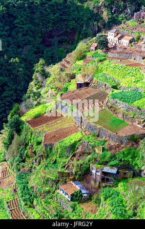 Ein Blick auf die terrassenlandschaft von faja Das galinhas, Madeira, Portugal Stockfoto