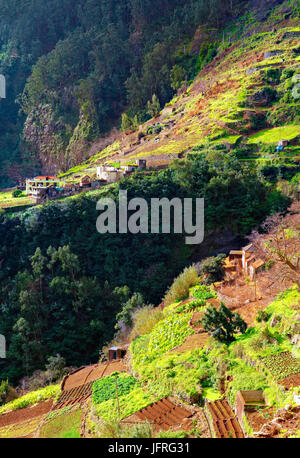 Ein Blick auf die terrassenlandschaft von faja Das galinhas, Madeira, Portugal Stockfoto