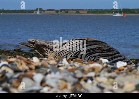 Gestrickte Abdeckungen am Geländer auf Ramsgate Hafenmauer Stockfoto