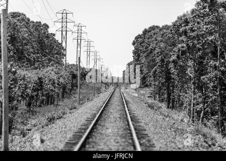 Eisenbahnschienen verschwinden in den Horizont in Amagansett, New York Stockfoto