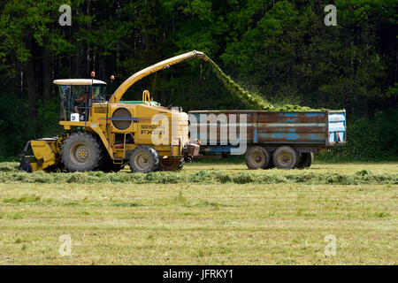 Landwirtschaft im Vereinigten Königreich. Vorbereitung und bringen im Winter Futter für das Vieh und die Pferde. Stockfoto