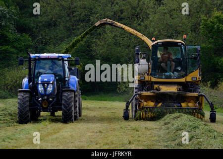 Landwirtschaft im Vereinigten Königreich. Vorbereitung und bringen im Winter Futter für das Vieh und die Pferde. Stockfoto