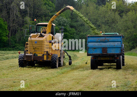 Landwirtschaft im Vereinigten Königreich. Vorbereitung und bringen im Winter Futter für das Vieh und die Pferde. Stockfoto