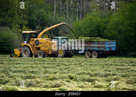 Landwirtschaft im Vereinigten Königreich. Vorbereitung und bringen im Winter Futter für das Vieh und die Pferde. Stockfoto