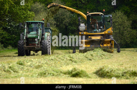 Landwirtschaft im Vereinigten Königreich. Vorbereitung und bringen im Winter Futter für das Vieh und die Pferde. Stockfoto