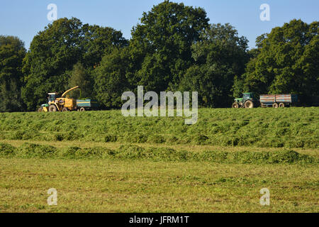 Landwirtschaft im Vereinigten Königreich. Vorbereitung und bringen im Winter Futter für das Vieh und die Pferde. Stockfoto