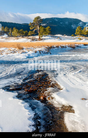 Der Big Thompson River fließt durch den Moraine Park des Rocky Mountain National Park, Colorado. Stockfoto