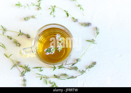 Gesunde Kräuter-Tee mit Bund frische wilde Thymian auf weißem Hintergrund. Thymian Tee, pflanzliches Getränk. Stockfoto