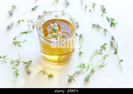 Gesunde Kräuter-Tee mit Bund frische wilde Thymian auf weißem Hintergrund. Thymian Tee, pflanzliches Getränk. Stockfoto