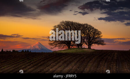 Sonnenuntergang in den Osorno Vulkan ÷ Atardecer En el Volcán Osorno Stockfoto