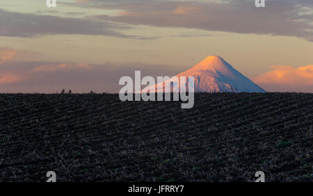 Sonnenuntergang in den Osorno Vulkan ÷ Atardecer En el Volcán Osorno Stockfoto