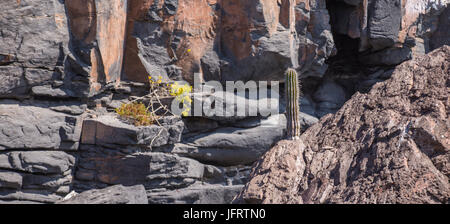 Meer der Cortes, Isla Espiritu Santo, La Paz Baja California Sur. Mexiko Stockfoto