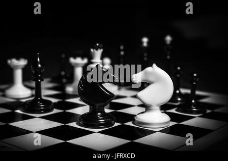 Schach Stücke Ritter einander zugewandt, für ein Unentschieden. Schach-Pferde konfrontieren einander. Schach-Ritter Kopf an Kopf. Stockfoto