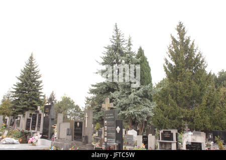 2.díl HTML-m2cf678b7 Stockfoto