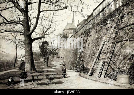 Brünner Denisovy Sady 28190 9 - 2 Stockfoto