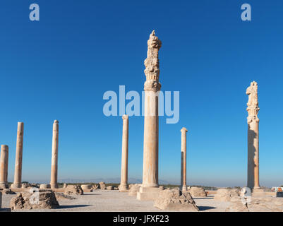 Persepolis - Apadana Palast. Der größte Palast erbaut auf der westlichen Seite von Persepolis von Darius dem großen. Die Arbeiten begannen in 515 BC. Stockfoto