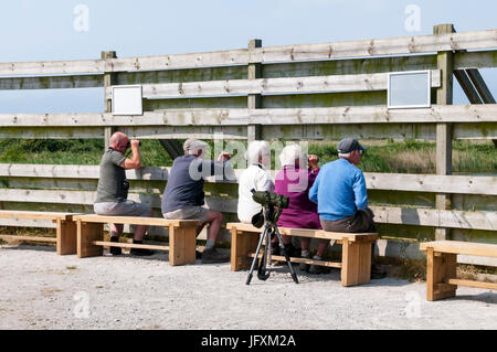 Vogelbeobachter in der Fen verstecken mit Blick auf das Süßwasser Marsh RSPB Titchwell Marsh Vogel behalten an der North Norfolk-Küste. Stockfoto