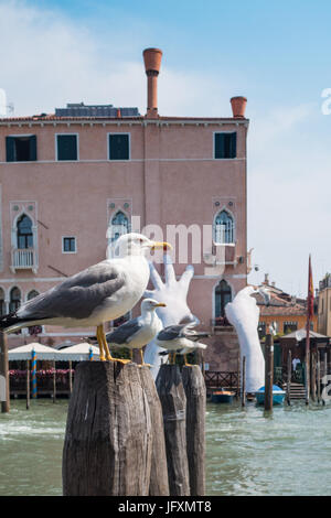 Unterstützung, ein Sulpture befindet sich auf der Seite der Ca' Sagredo Hotel in Venedig, Italien, vom Künstler Lorenzo Quinn Stockfoto