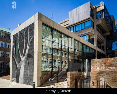 Cambridge Museum für Zoologie, die David Attenborough Gebäude im Zentrum von Cambridge, Großbritannien Stockfoto