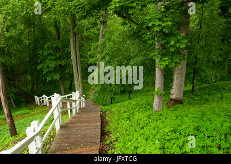 Der schöne Park von Alatskivi in Estland Stockfoto