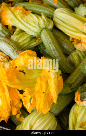 Zucchini zum Verkauf auf einer griechischen Marktstand in Kefalonia Stockfoto