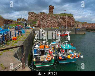 Victoria Harbour, Dunbar, East Lothian, Schottland Stockfoto