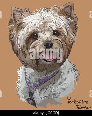 Vektor Porträt der Yorkshire-Terrier in verschiedenen Farbe Handzeichnung Illustration auf orangem Hintergrund Stock Vektor