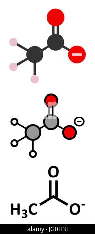 Acetat-Anion, chemische Struktur. Konventionelle Skelettformel und stilisierte Darstellungen. Stock Vektor