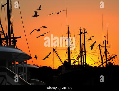 Sonnenaufgang über die Flotte der Angelboote/Fischerboote in New Bedford, Massachusetts, USA Stockfoto