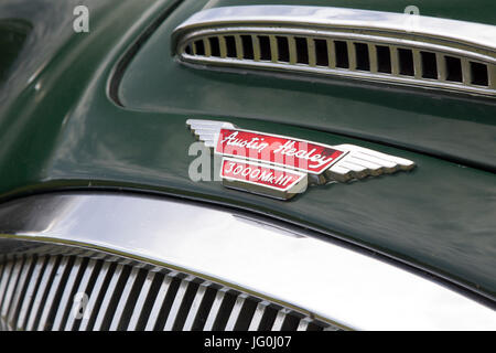 Austin-Healey 3000 Mk III Abzeichen, Kühlergrill und Motorhaube Stockfoto