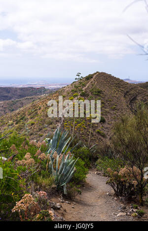 Wanderweg am Rande der Bandama Krater, Gran Canaria, Kanarische Inseln, Spanien Stockfoto